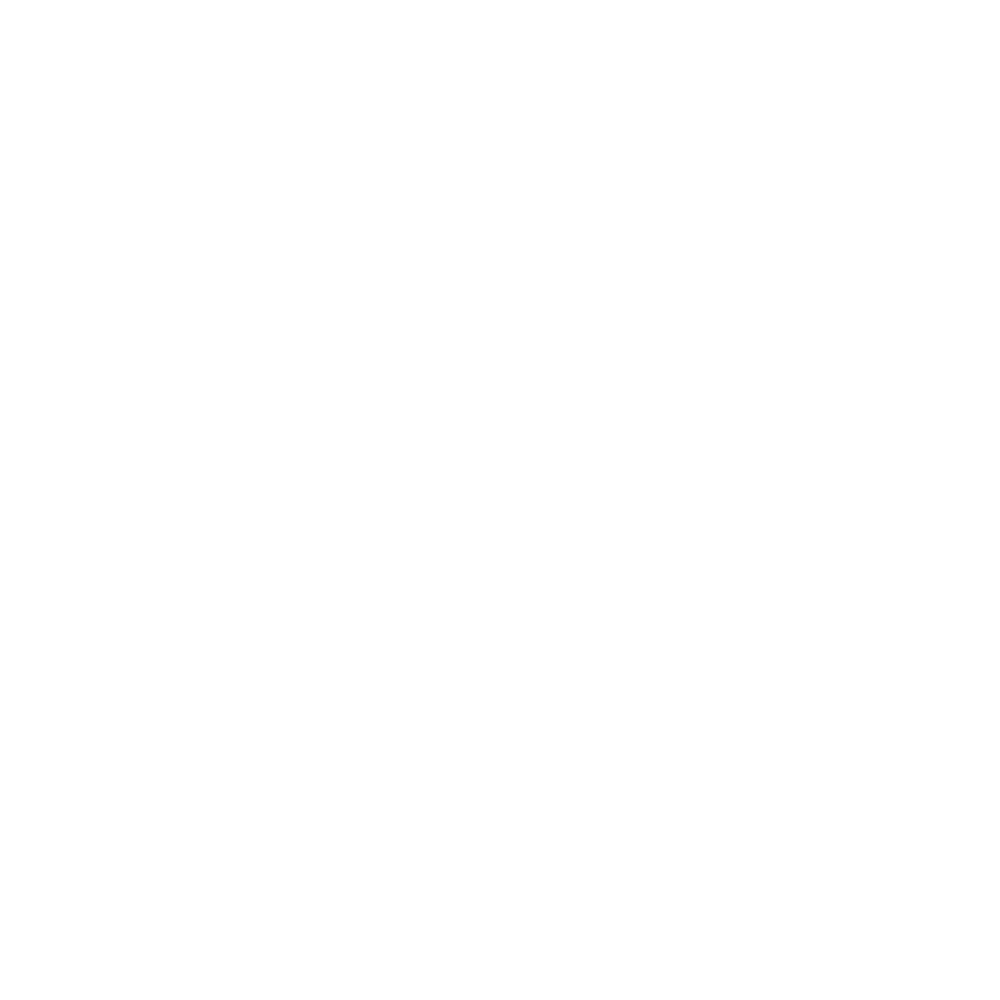 chips icon