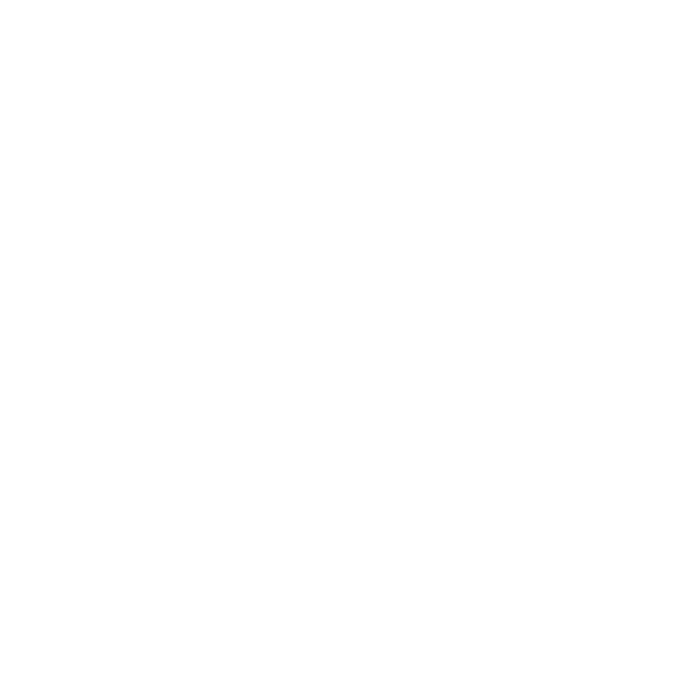 laptop icon
