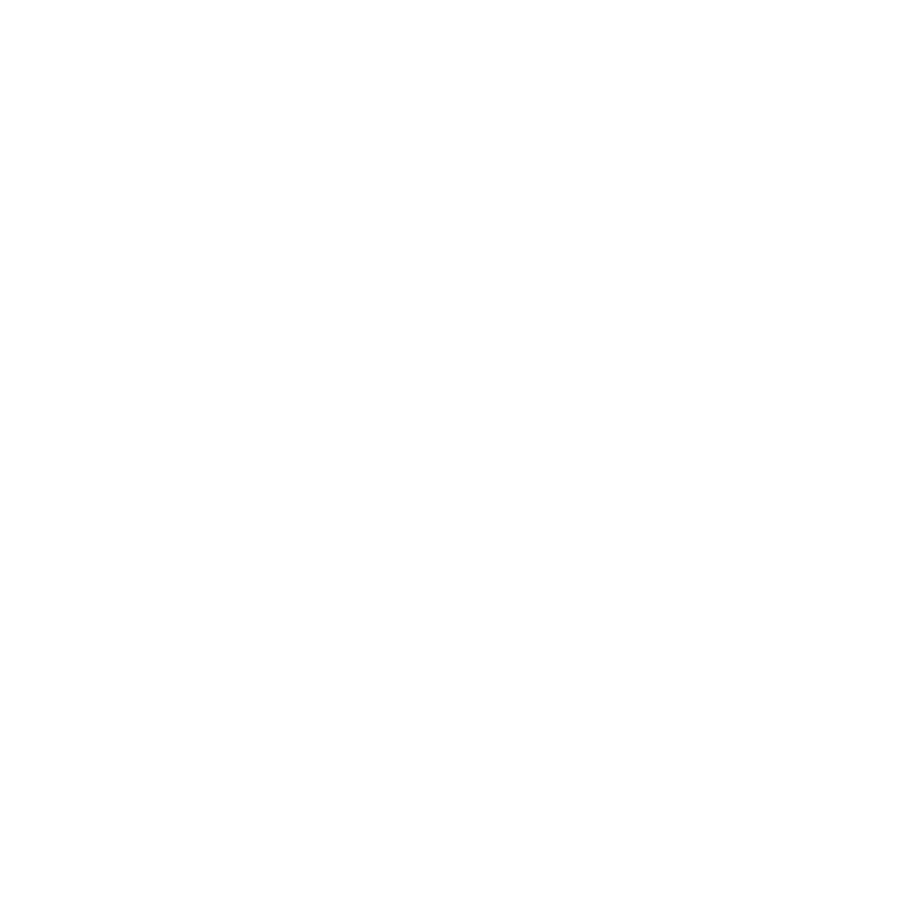 investor icon