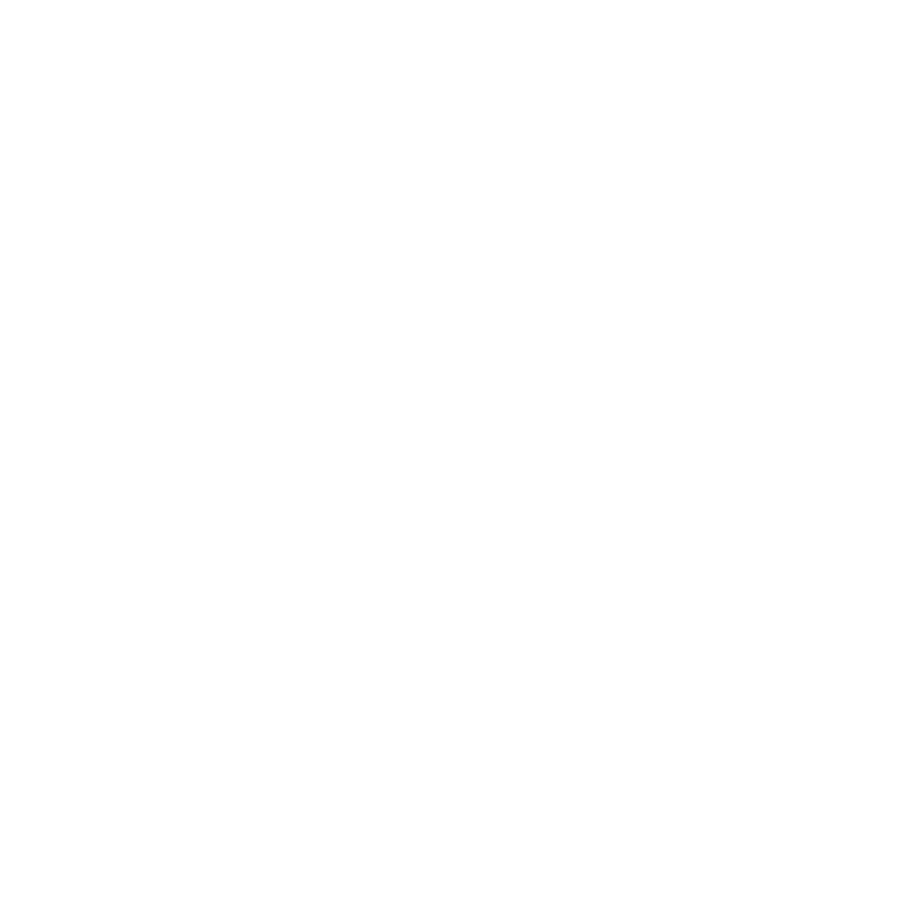 licenses icon