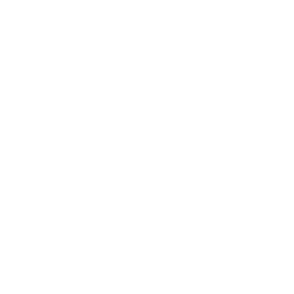 shareholder return icon